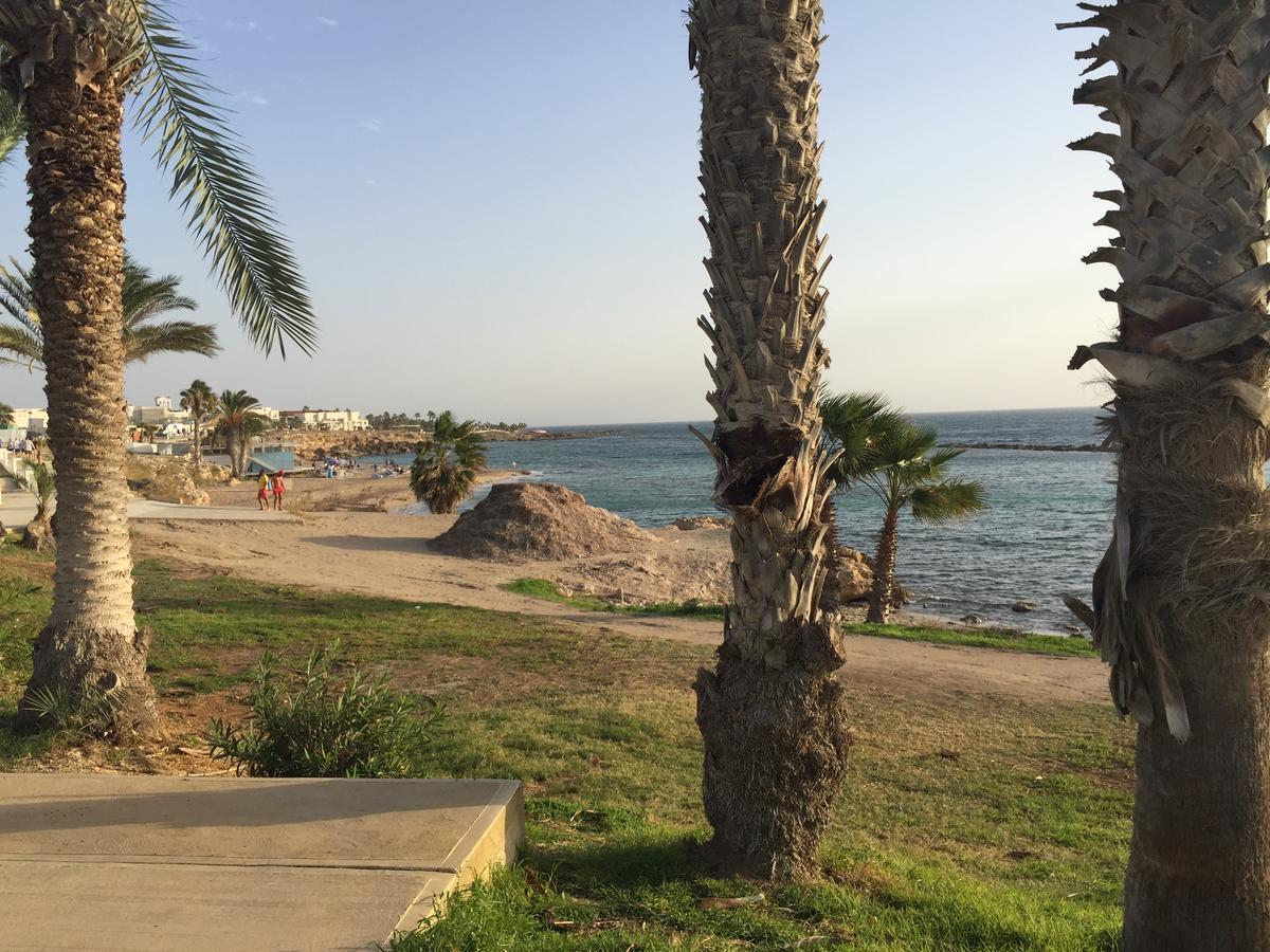 Limnaria Westpark Lägenhet Paphos Exteriör bild